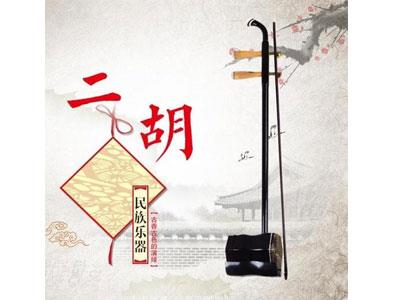 招聘南充二胡家教老师